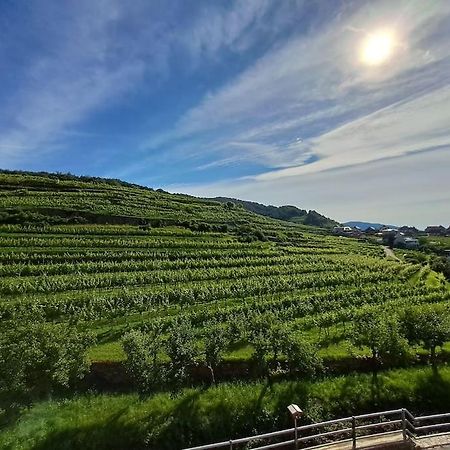 Wohnung In Der Wachau Weißenkirchen in der Wachau Eksteriør billede