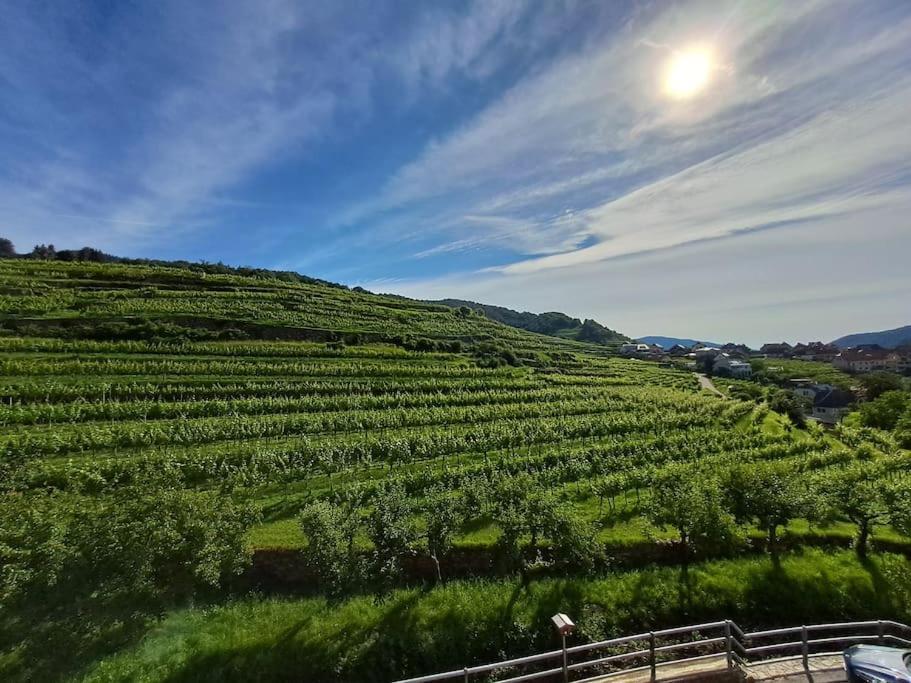 Wohnung In Der Wachau Weißenkirchen in der Wachau Eksteriør billede